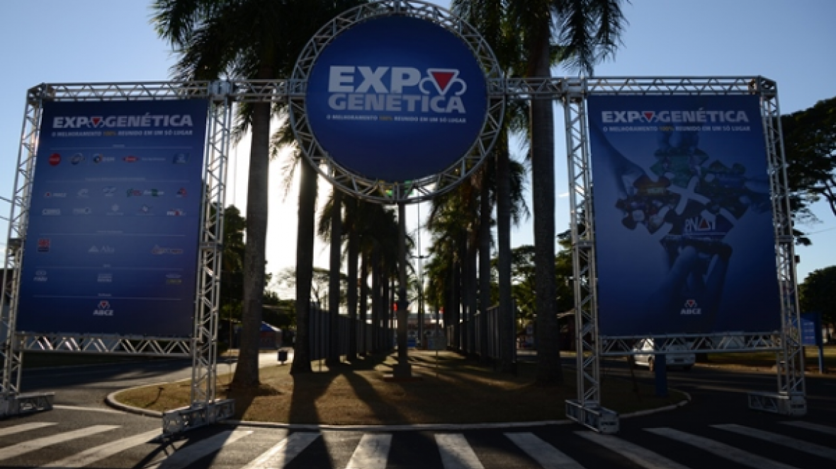 ExpoGenética recebe participantes do Projeto Comprador da ABCZ e da Apex-Brasil