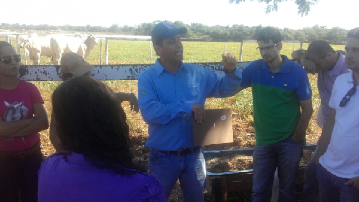 Tocantins terá Pró-Genética e sedia Seminário de Sensibilização do programa