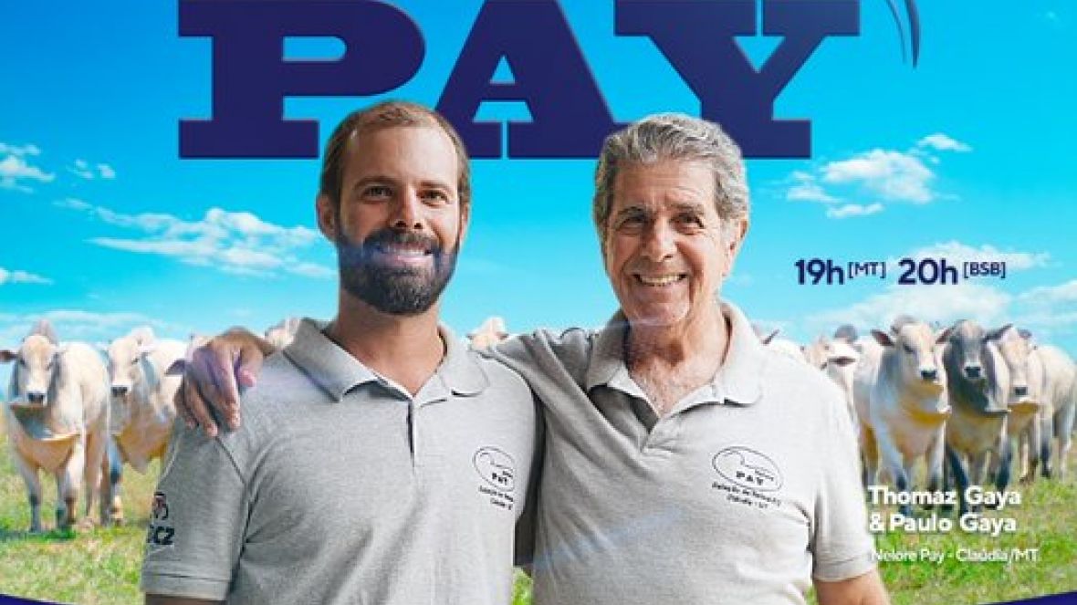 Faltam apenas cinco dias para o Leilão Virtual Nelore Pay 