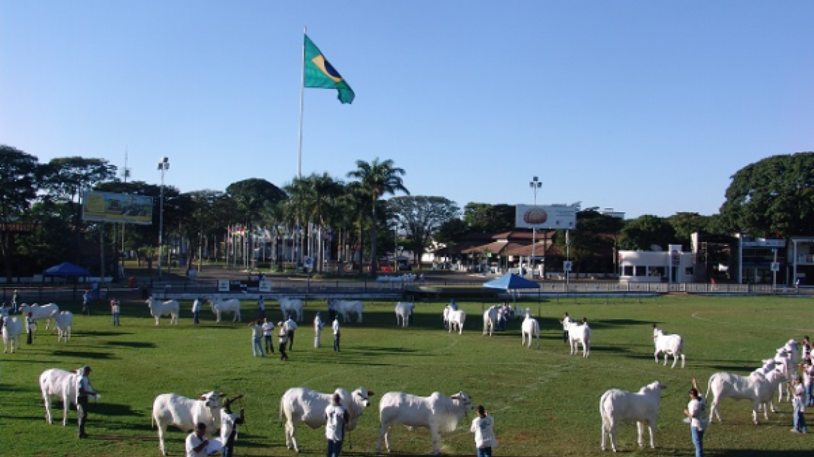Expoinel Minas abre o calendário de exposições no Parque Fernando Costa