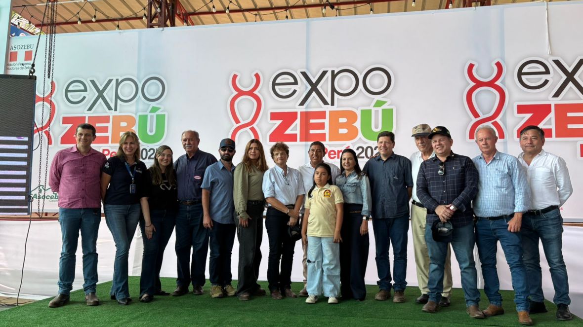 Em Tarapoto, ABCZ participa da 1ª Expozebú Perú e amplia presença internacional do Zebu brasileiro