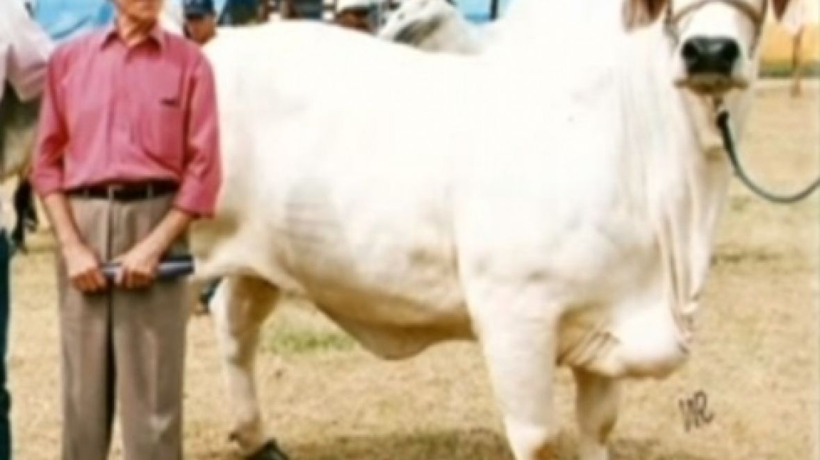 Pecuária se despede de Carlos Balbino Figueira