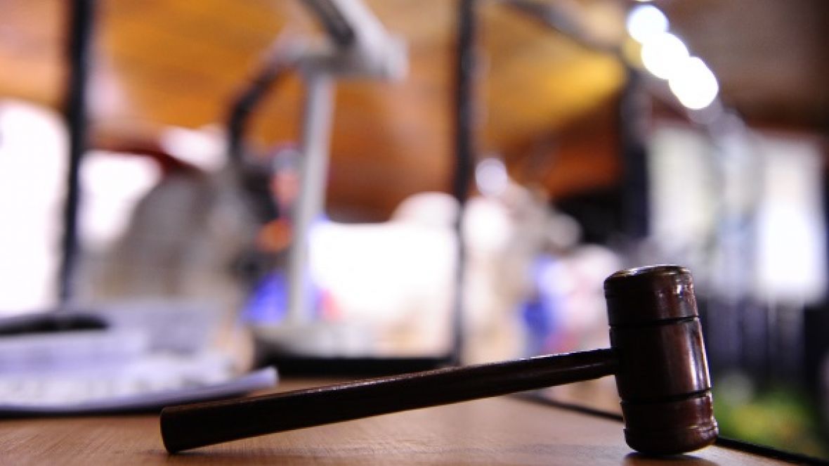 Faturamento com leilões já somam mais R$ 11 milhões