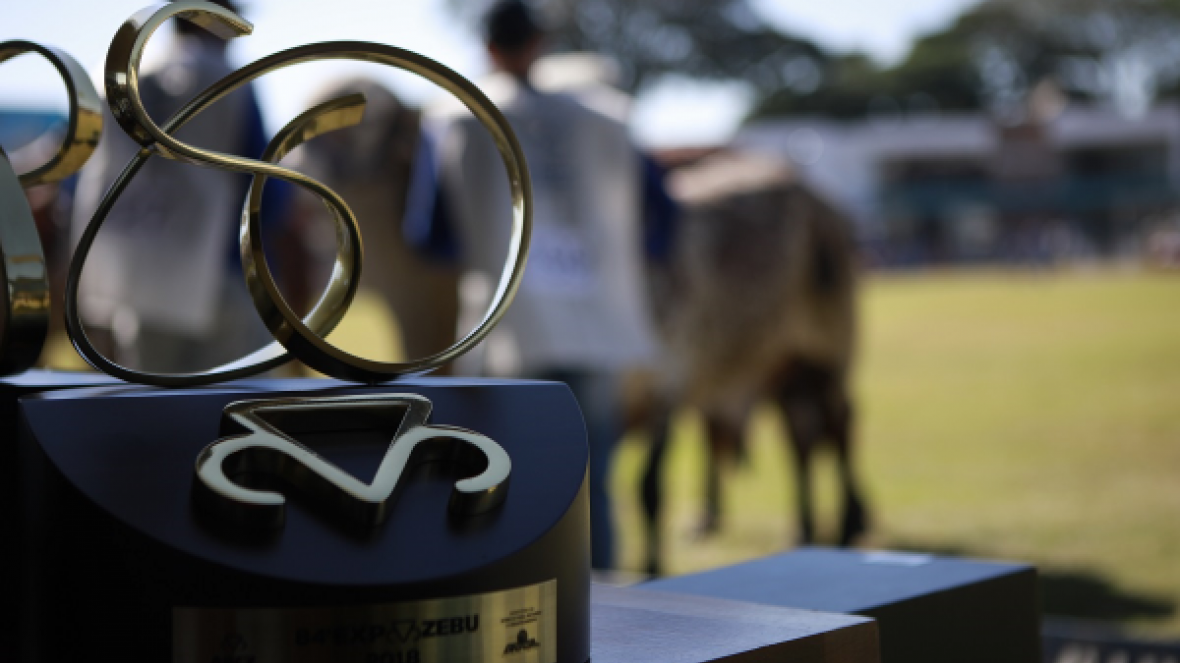 ExpoZebu 2018: a grande feira da pecuária brasileira comemora excelentes resultados 
