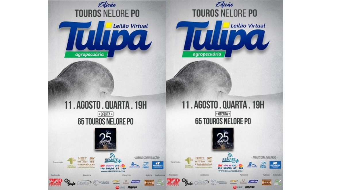 Leilão Top Tulipa - Edição PO Virtual’ ofertará 60 exemplares de Nelore PO