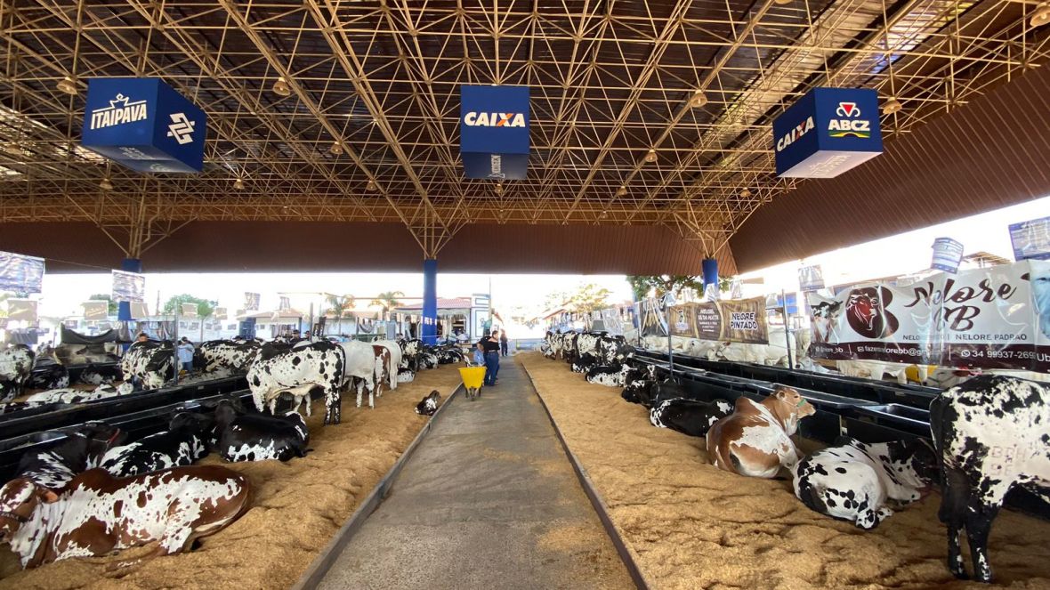 89ª ExpoZebu: confira a programação do último dia da feira