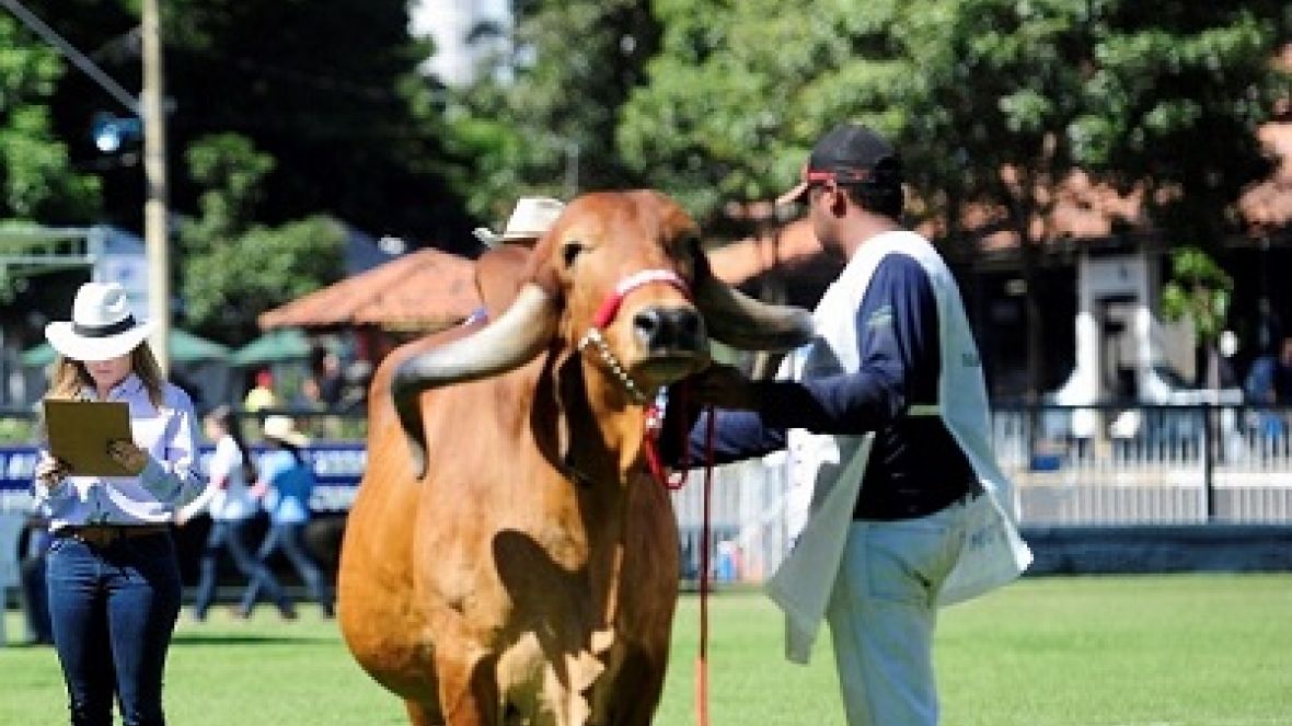 Inscrições para o curso de julgamento vão até amanhã