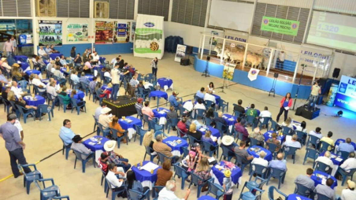 Leilão com chancela Pró-Genética foi destaque em exposição do MS     