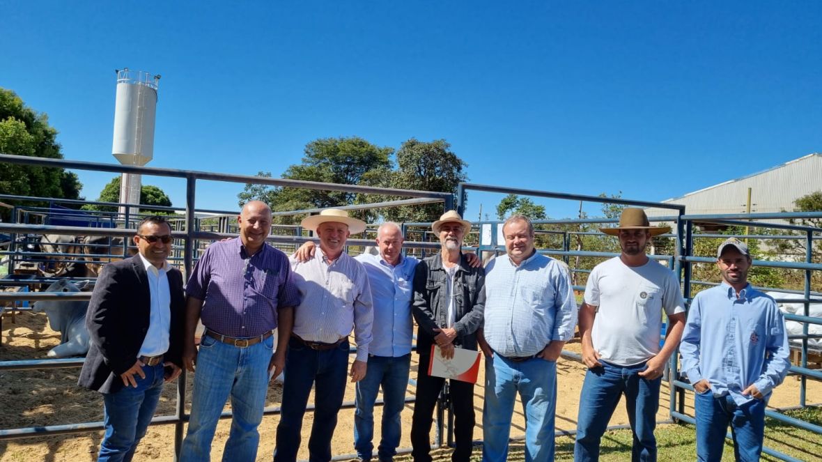 Com comercialização de touros puros de origem, começou hoje (25) a Feira de Touros do Pró-Genética no ‘20º Encontro de Bons Negócios da Certim’