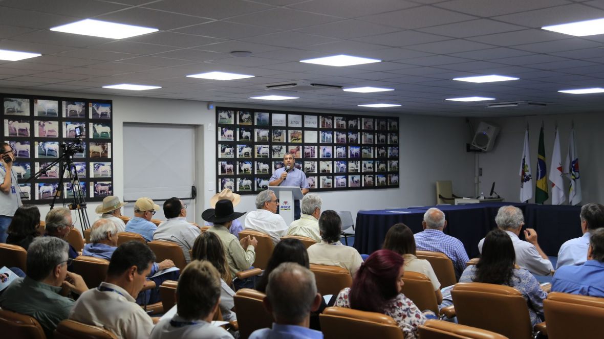 ‘Cenários e perspectivas para a raça Sindi’