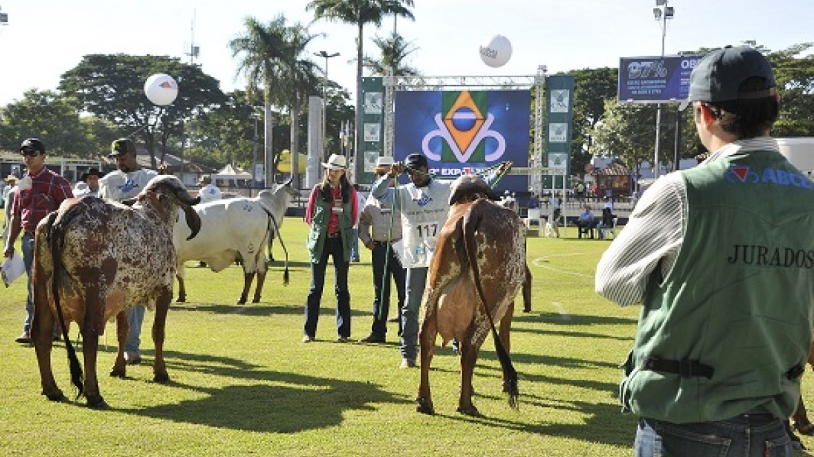 Eleita nova Comissão de Jurados das raças zebuínas