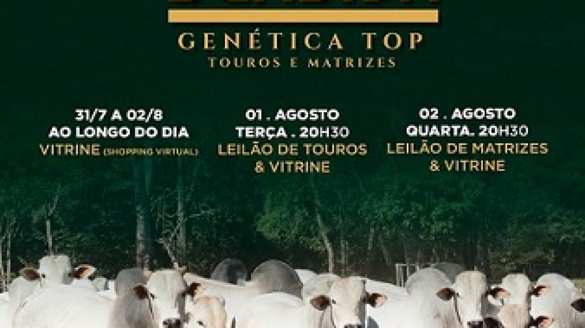 Leilão e Vitrine Beabisa Genética Top Touros e Matrizes terá leilão chancelado pelo Pró-Genética. 