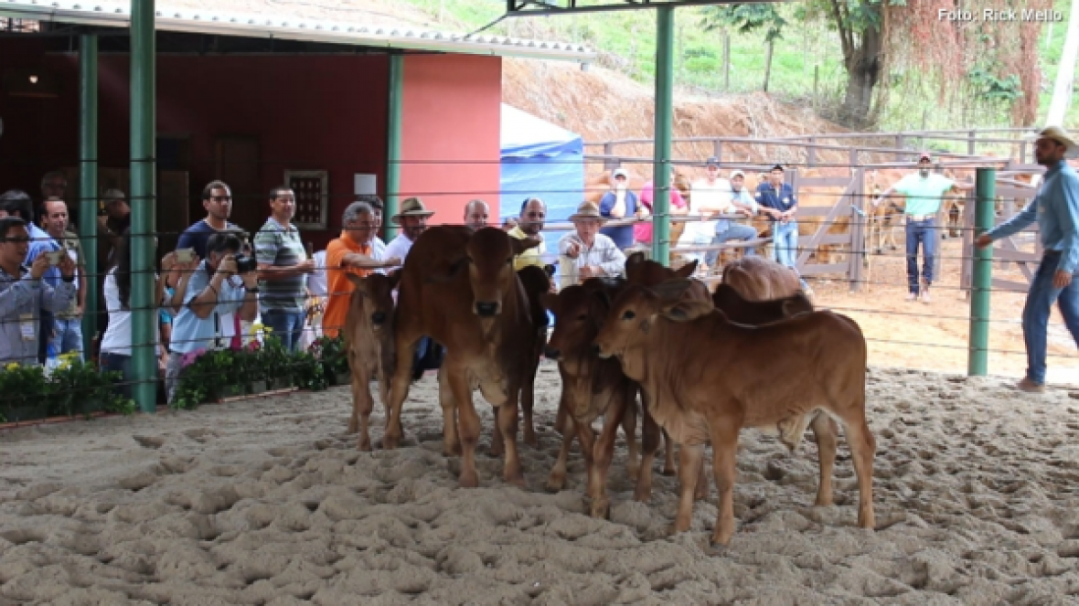 Sindi tem evento concorrido no Rio de Janeiro