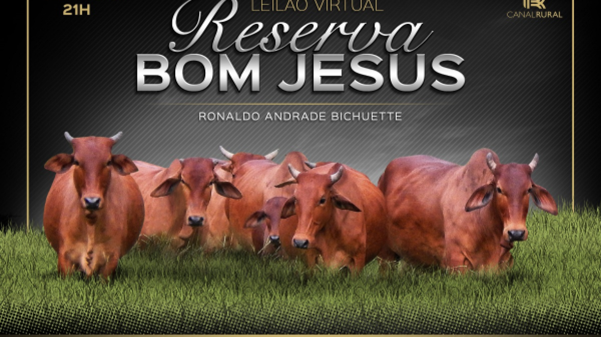 Leilão Reserva Bom Jesus encerra temporada ExpoZebu 2018 nesta 5ª