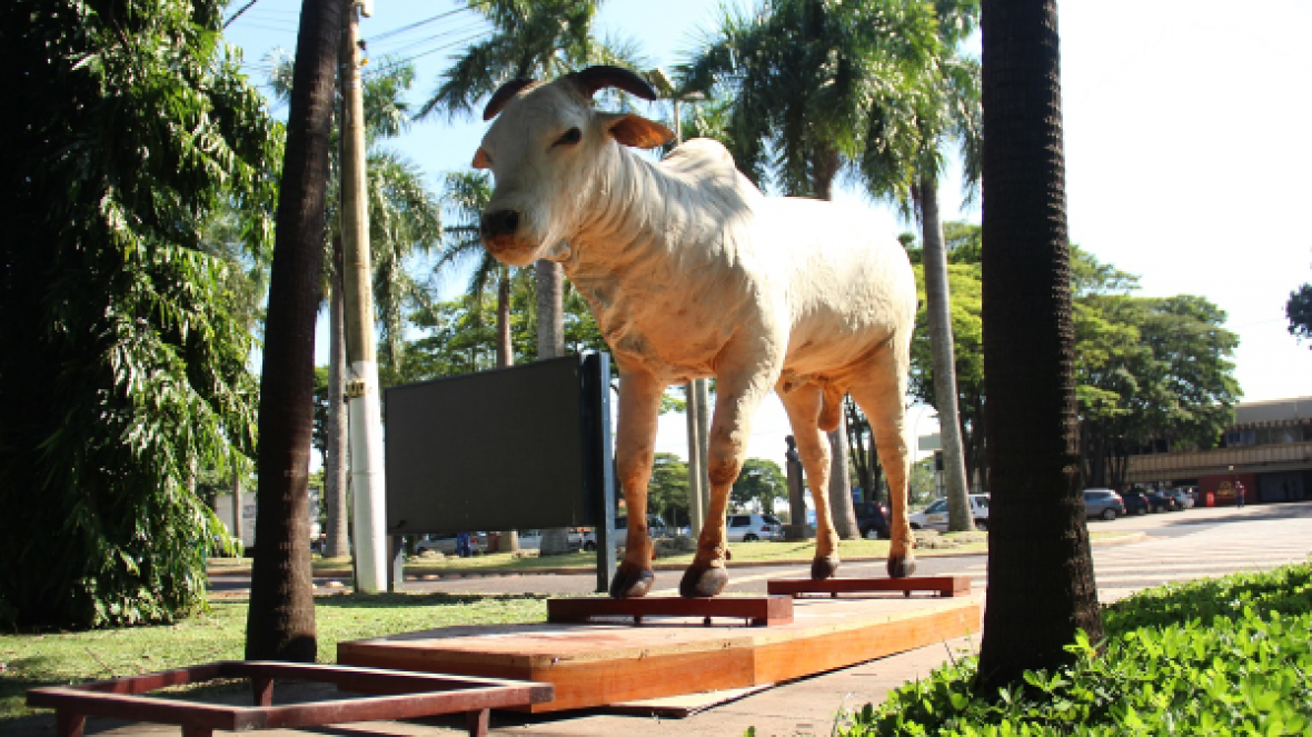 Museu do Zebu recebe doação de taxidermia de touro Karvadi
