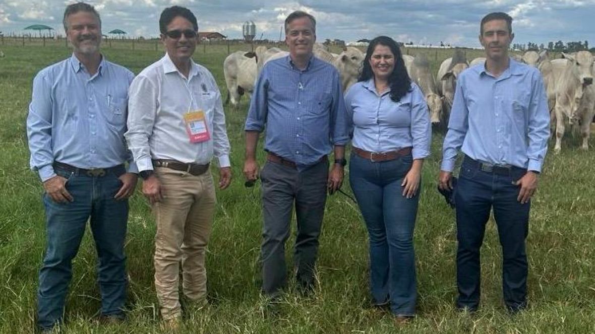 Rota do PMGZ: nova temporada revela resultados do melhoramento genético no Paraná