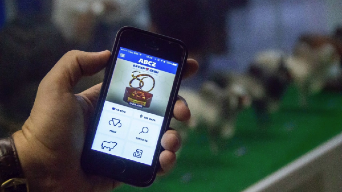 Divulgadas novas avaliações genéticas nacionais do PMGZ Corte