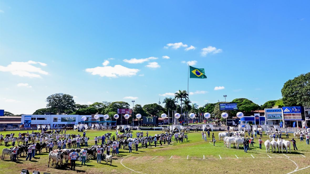90ª ExpoZebu registra número recorde de visitas internacionais
