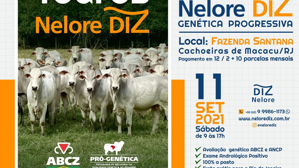 ‘3º Shopping de Touros Nelore Diz’ ofertará 47 animais neste sábado (11)