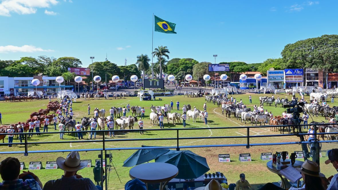 ABCZ abre inscrições para a ExpoZebu 2026 na próxima segunda-feira (26)