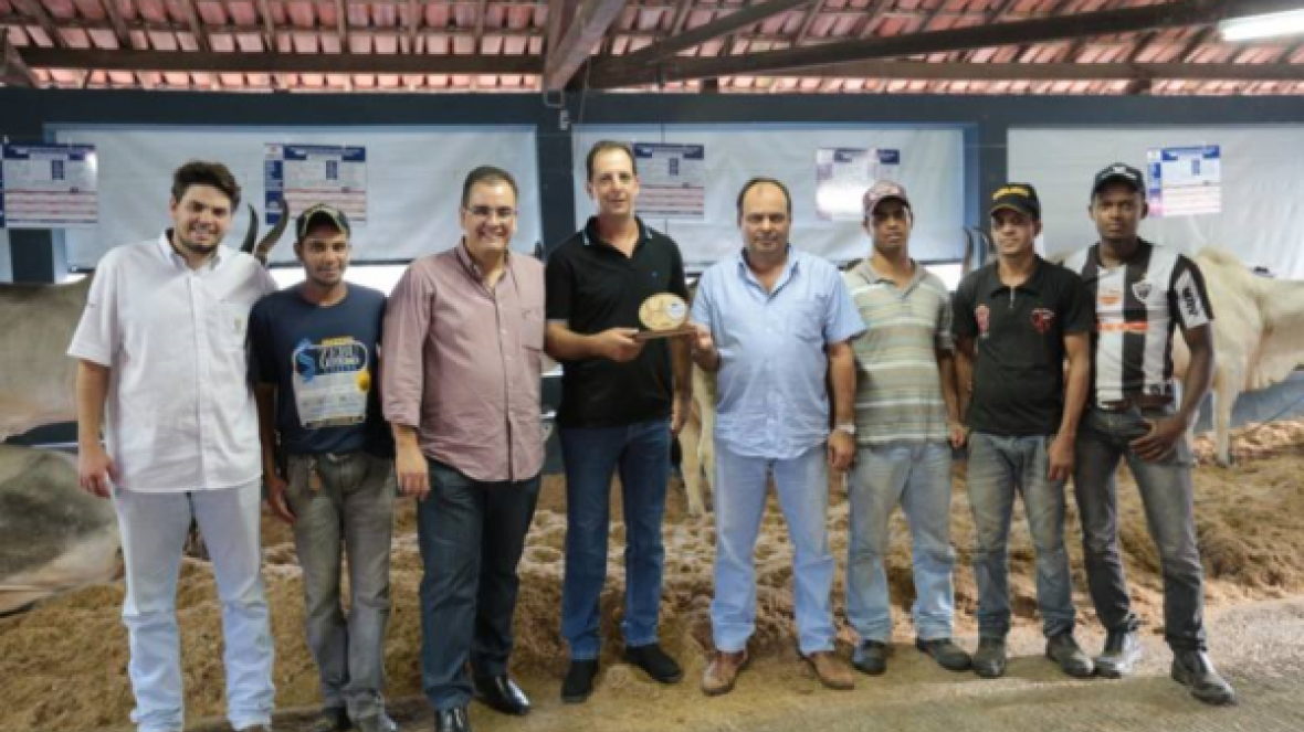 Vaca Guzerá quebra recorde na Megaleite 2015