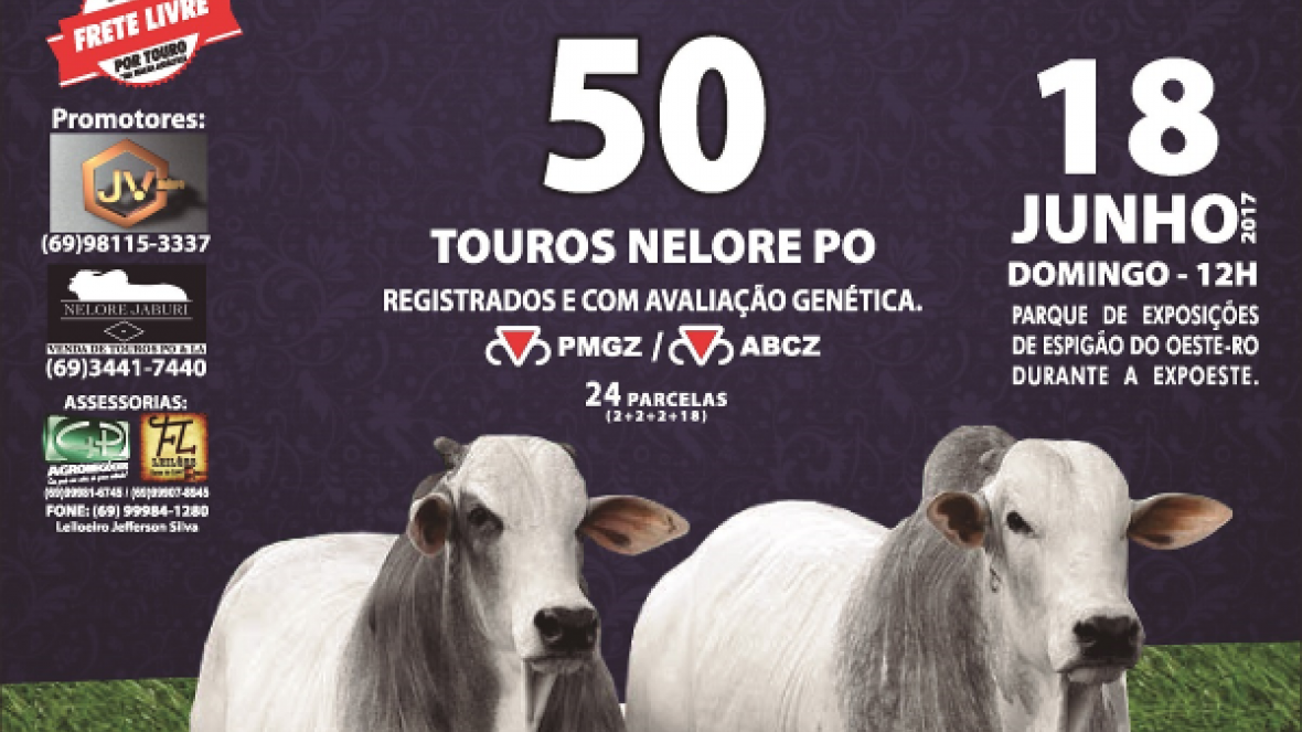 ?Joias de Rondônia? vai oferecer 50 touros Nelore no domingo (18)
