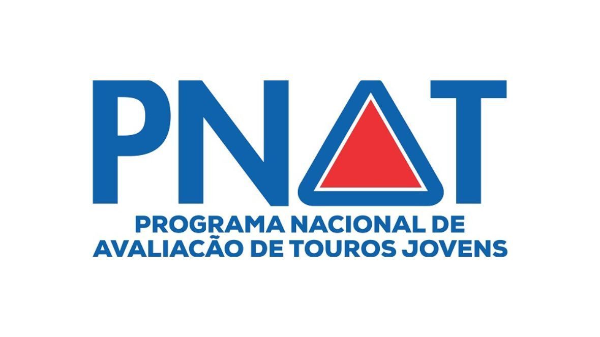 PNAT 2024: lista atualizada de touros pré-selecionados está disponível no site da ABCZ; prazo para pré-inscrição termina no dia 28