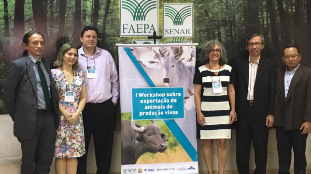 Brasil deverá exportar gado vivo para a Malásia