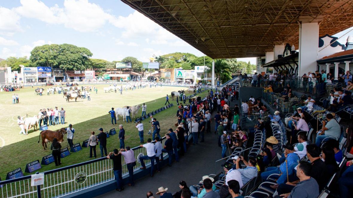 89ª ExpoZebu: emissão de boletos para quitação de inscrição de animais é feita exclusivamente por e-mail sob demanda