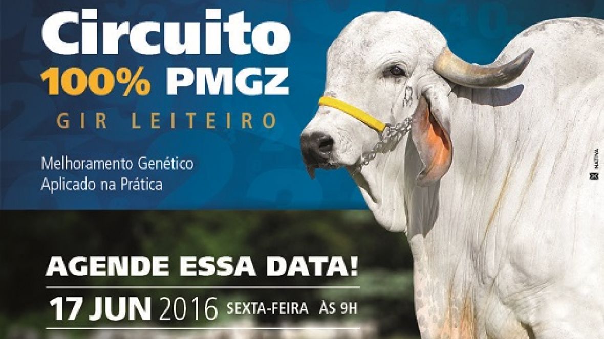 ABCZ e Fazenda Brasília promovem Circuito 100% PMGZ nesta sexta-feira