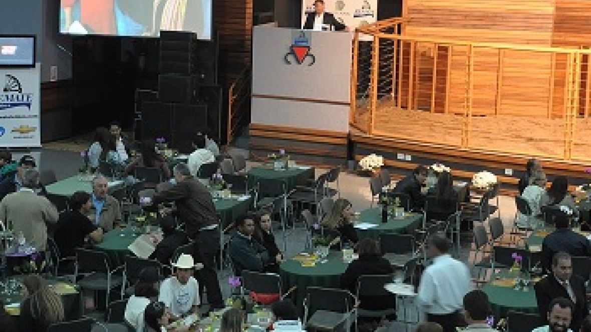 Leilões da ExpoZebu 2015 começam nesta quinta