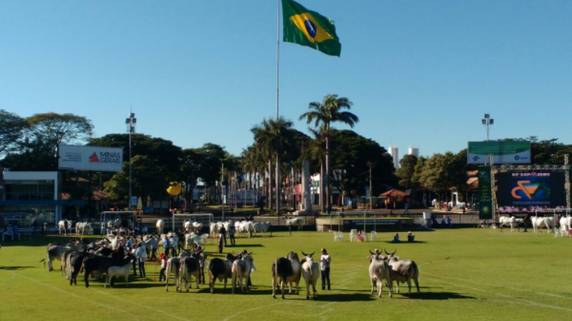 Quarta-feira movimentada para guzeratistas na 83ª ExpoZebu