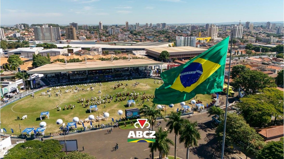 Campeonatos Matriz Modelo e Modelo Frigorífico destacam funcionalidade e eficiência genética na 91ª ExpoZebu