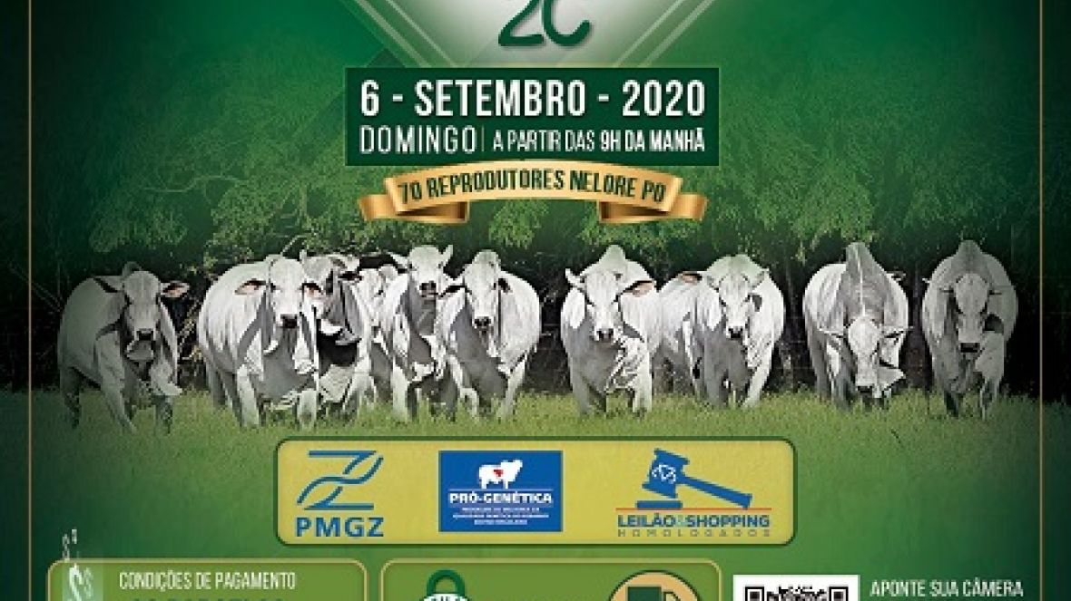 ?Leilão Virtual Touros Cachoeira 2C? será realizado no próximo domingo (06)