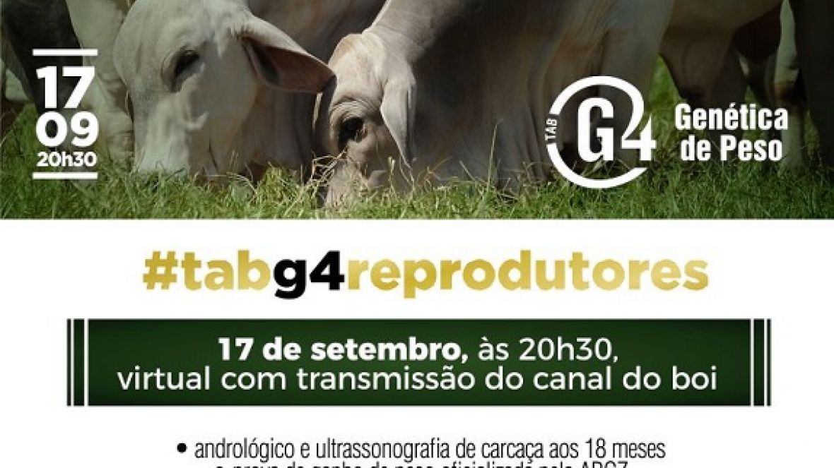 ?Leilão TAB-G4 Reprodutores? vai oferecer 60 touros provados amanhã (17)