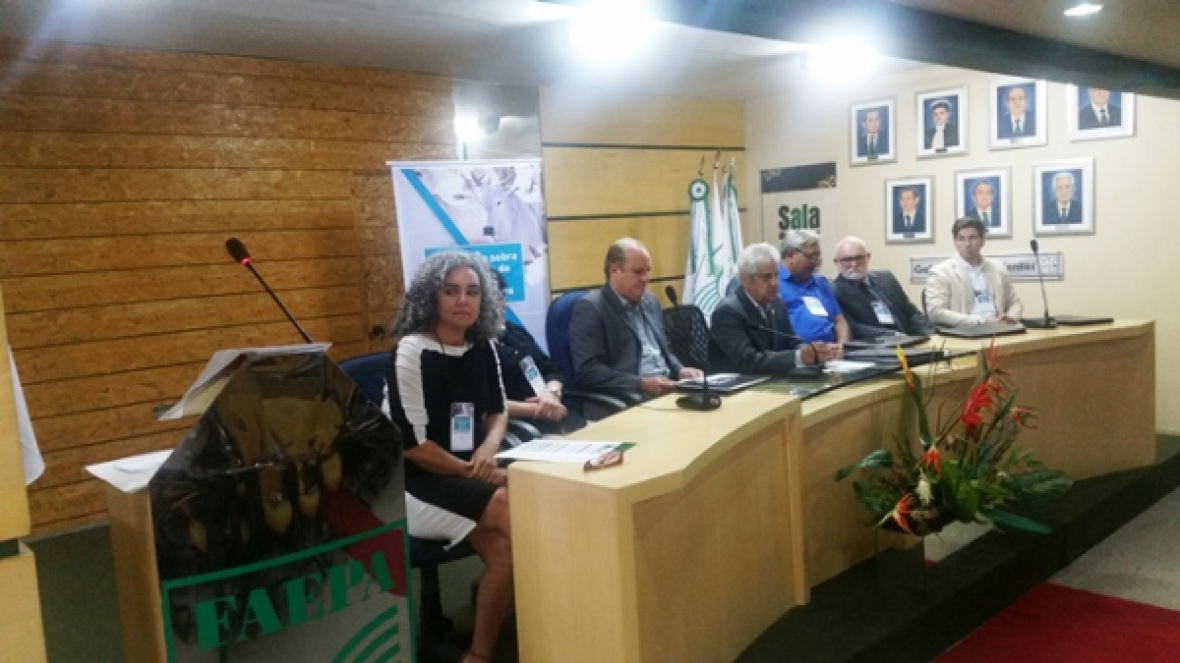 Mapa e setor produtivo discutem normas para exportação de gado vivo