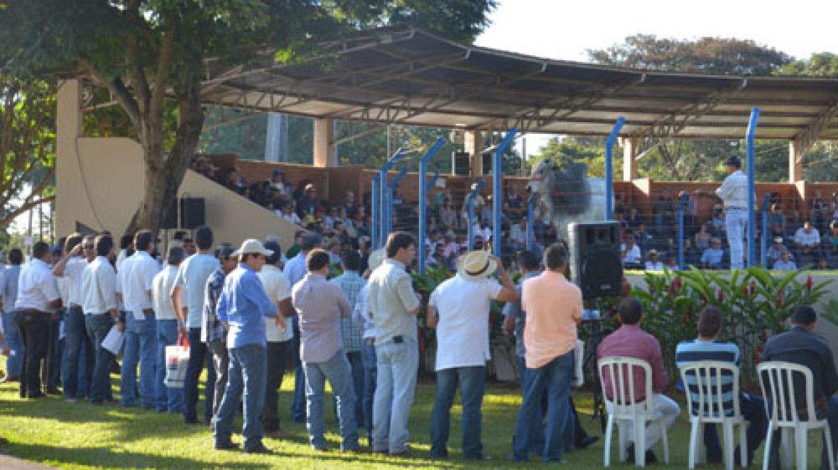 ABS Pecplan lança hoje novo Catálogo Corte Zebu durante Desfile de Touros na ExpoGenética