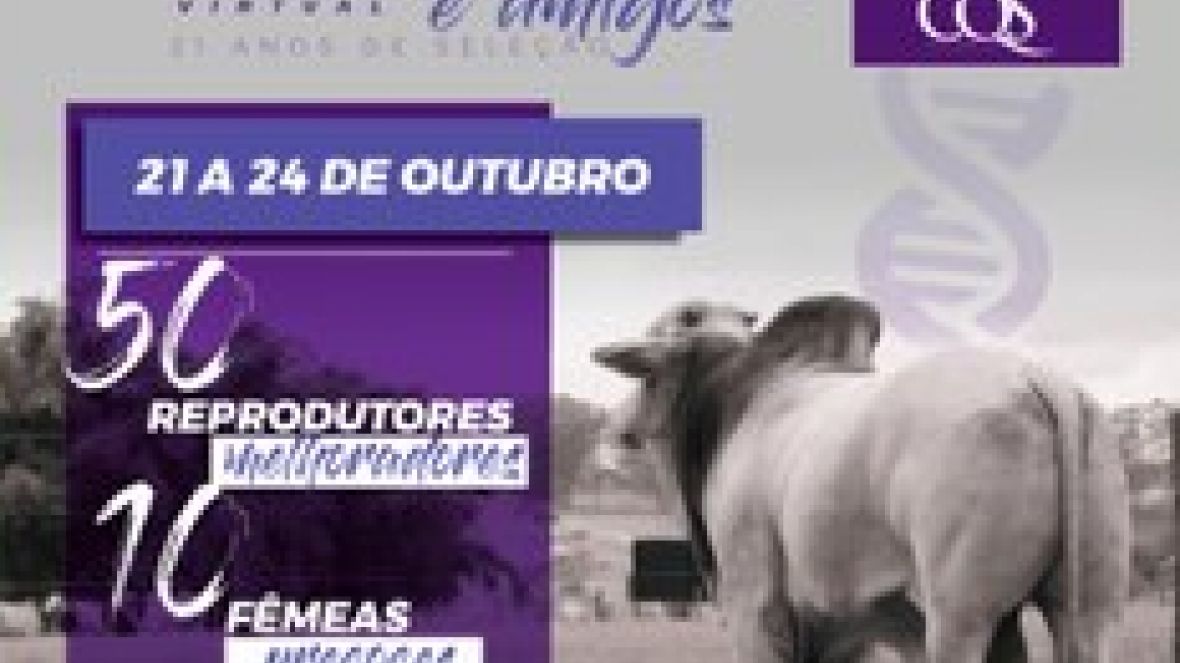 Faltam poucos dias para o 3º Shopping Genética Teto Virtual e Amigos 