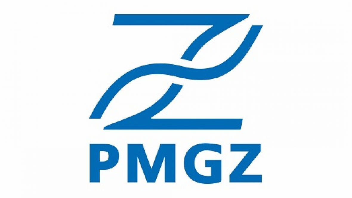 PMGZ registra crescimento de 12% em 2020