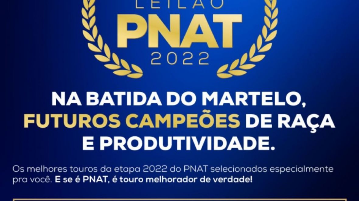 ExpoGenética 2022: Leilão Touros PNAT ofertará genética de qualidade no dia 26 de agosto