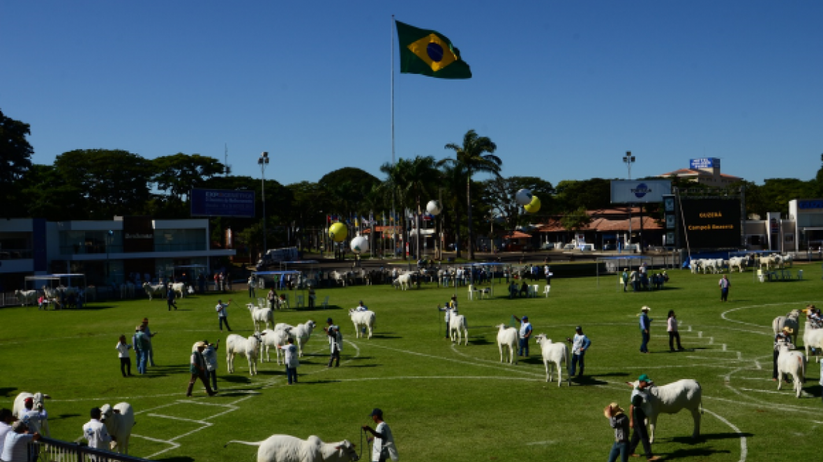 Inscrições para a 83ª ExpoZebu começam em 26 de janeiro