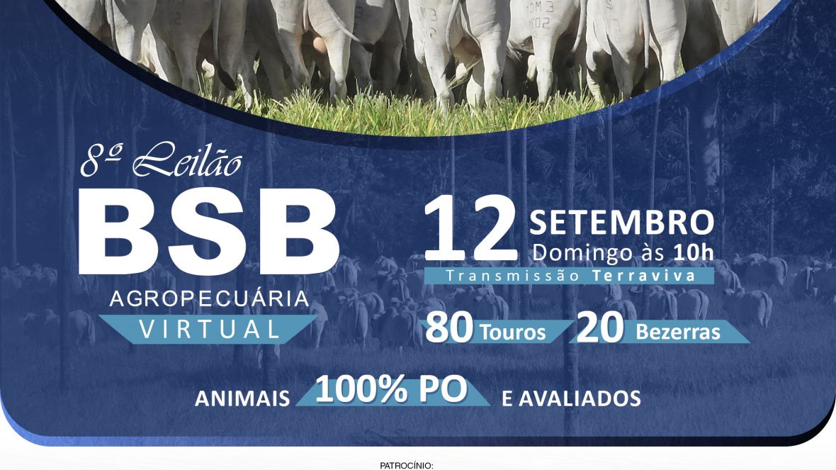 BSB Agropecuária promove leilão neste domingo (12) 