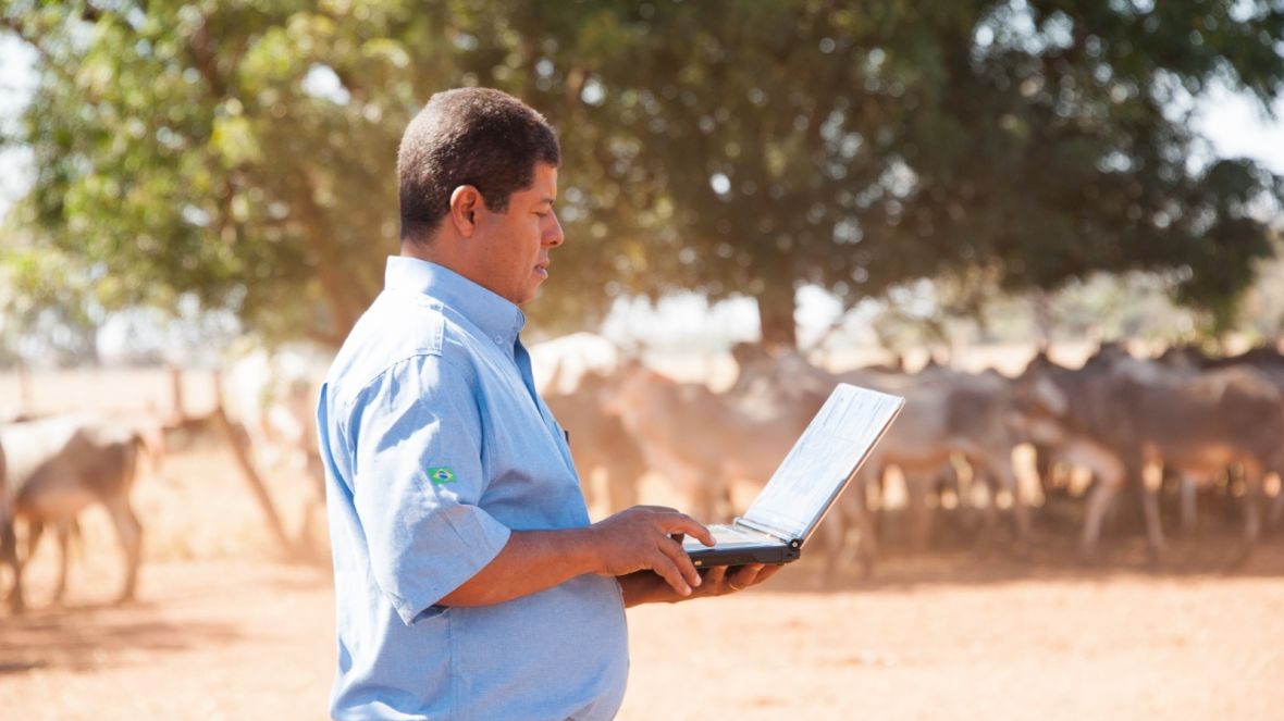 Atualização do Produz traz novas ferramentas para otimizar a gestão do rebanho