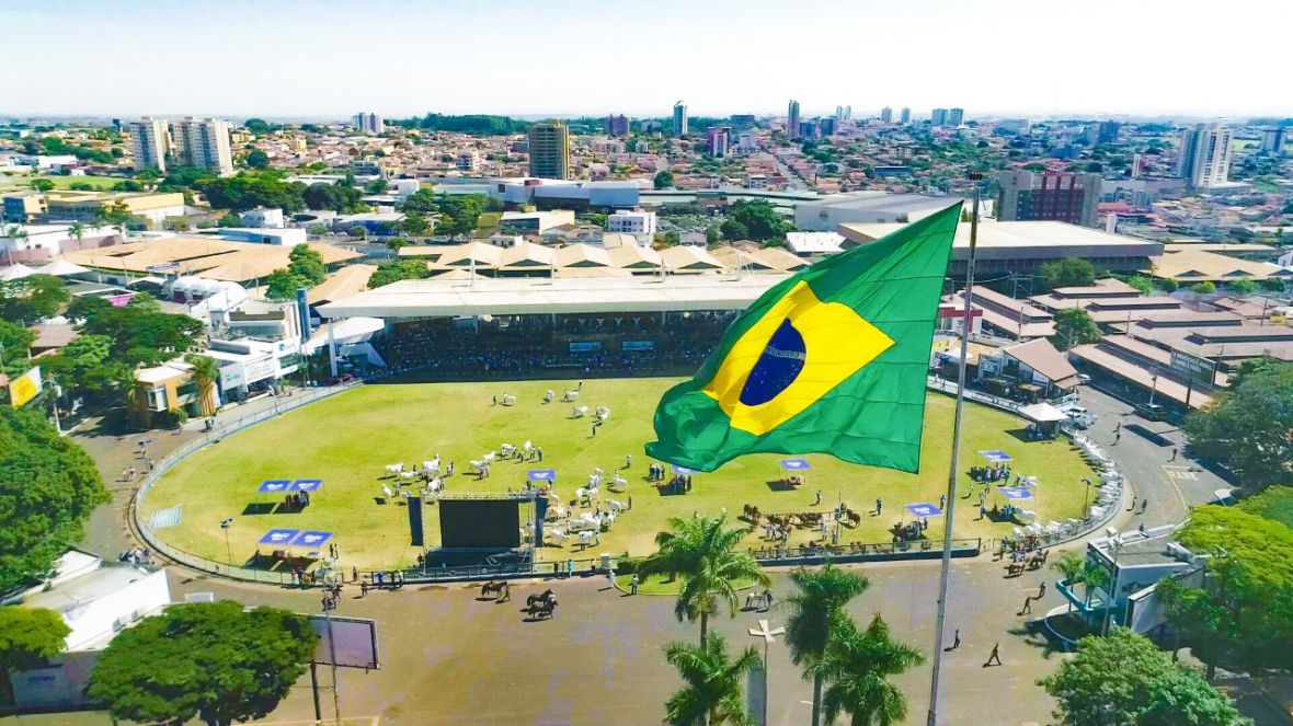 ExpoZebu 2022: Quantidade de animais inscritos já é 63% maior que na edição anterior