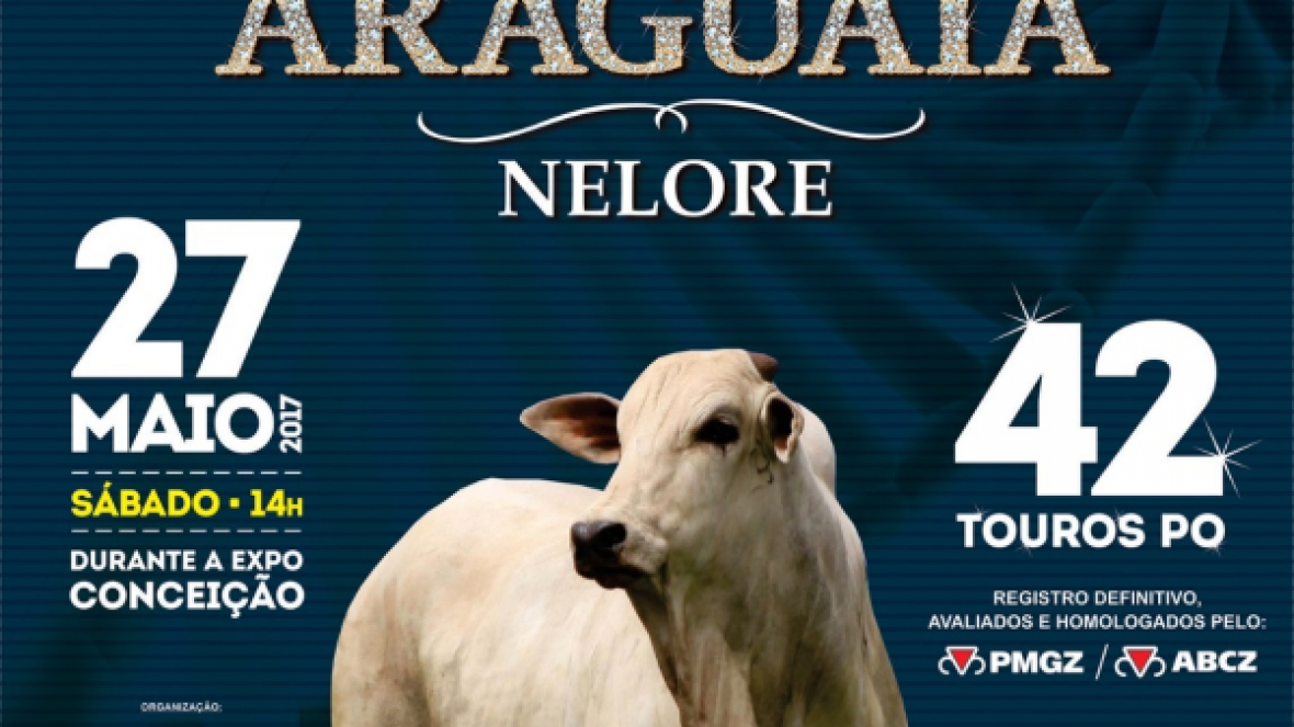 ?8º Joias do Araguaia? oferece 42 touros em Conceição do Araguaia (PA)