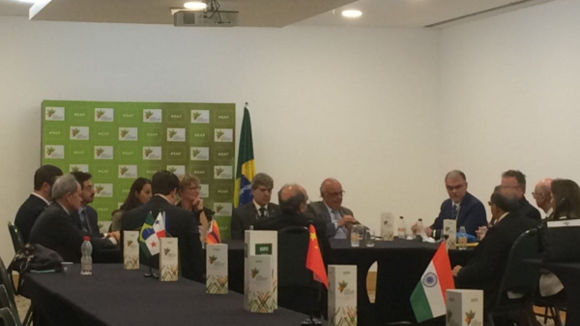 ABCZ e outras entidades do setor debatem com MAPA ações para GAF 2020