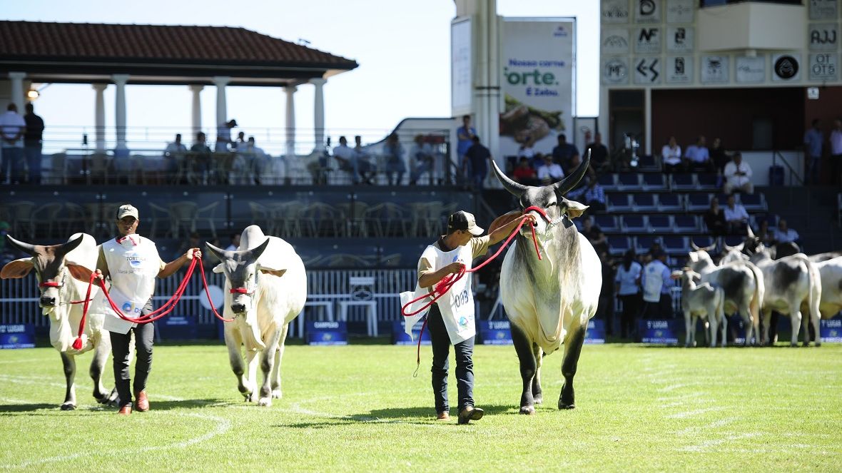 ExpoZebu 2022: Prazo para inscrições com maior desconto termina nesta sexta (04)