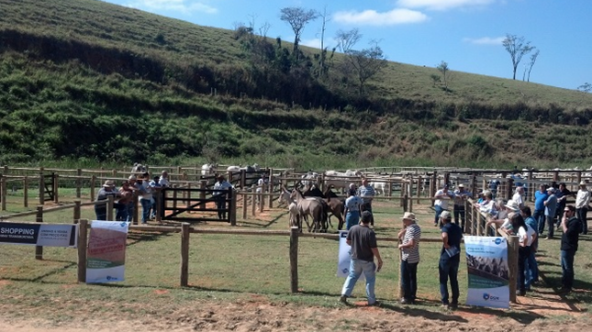 Dia de Campo no Rio de Janeiro tem palestra sobre o PMGZ