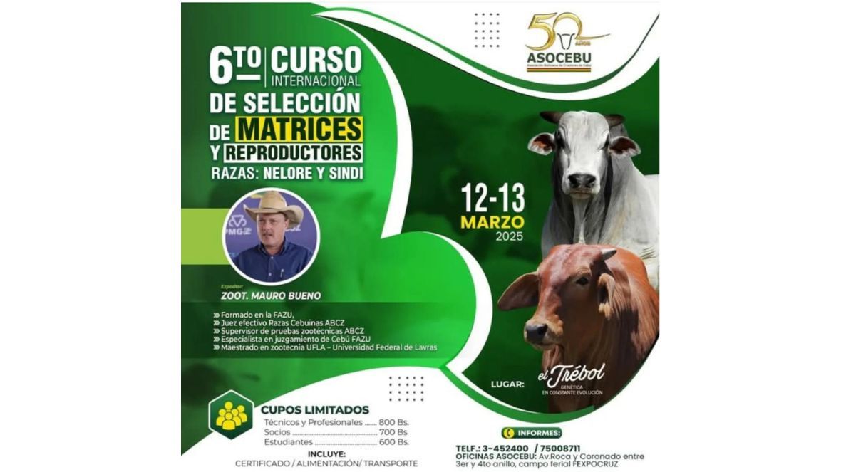 ABCZ participa do 6º Curso Internacional de Selección de Matrices y Reproductores, promovido pela Asocebu Bolívia