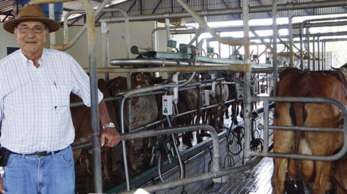 Vantagens do PMGZ Leite serão tema de palestra em Dia de Campo